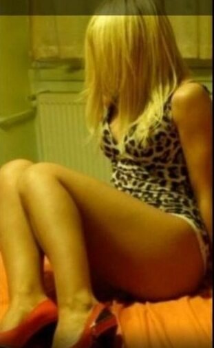 Ankara Escort İletişim